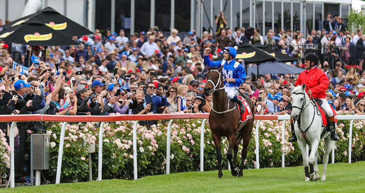 THE-YEAR-TITLE-FOR-WINX1